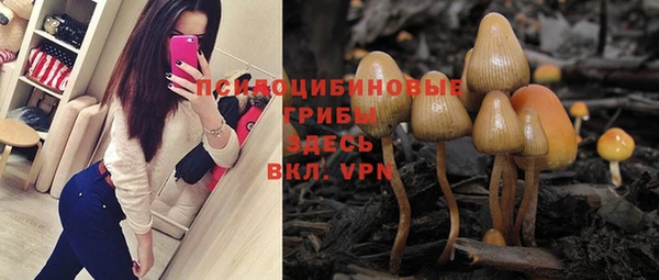 mdpv Карталы