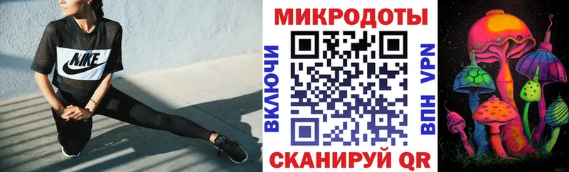 Купить Красный Холм Галлюциногенные грибы Psilocybe